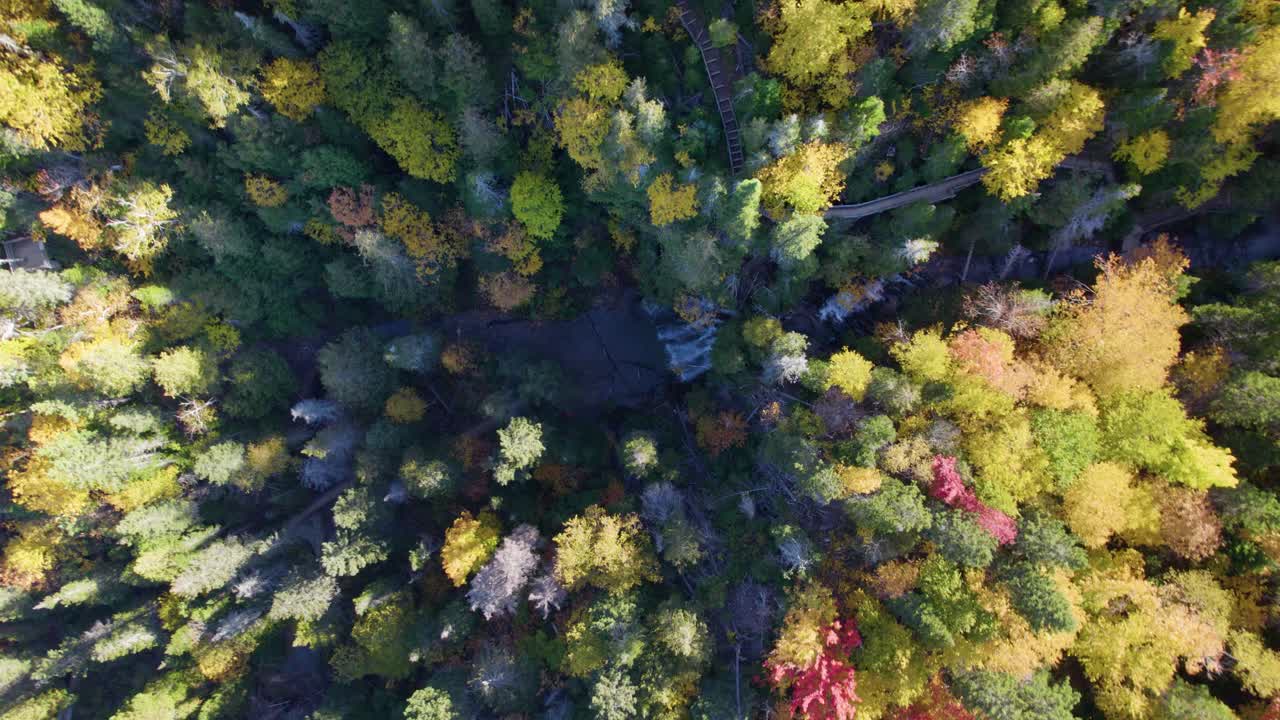 forillon 국립 공원, gaspe, 퀘벡, 캐나다