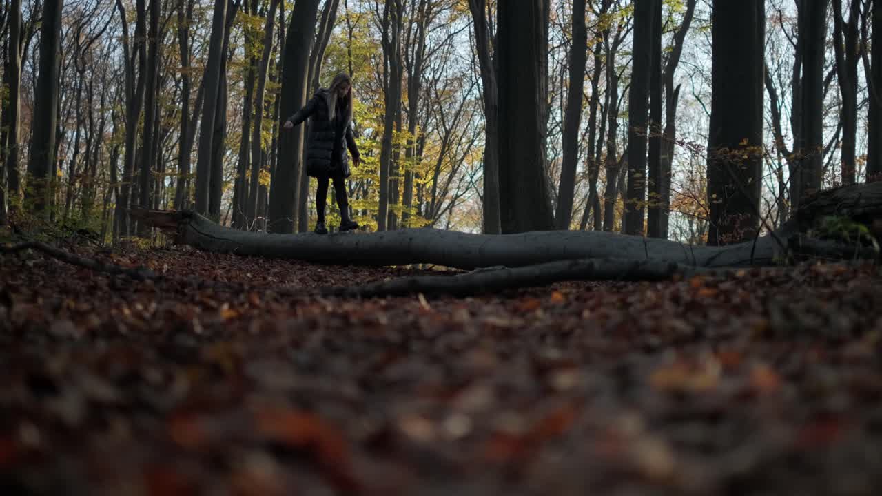 숲에서 나무에 균형을 잡고 있는 여자