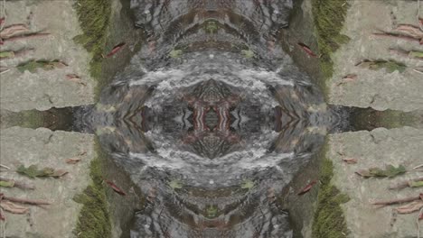 Kaleidoscope-from-Nature-Shots,-Wissahickon-Creek