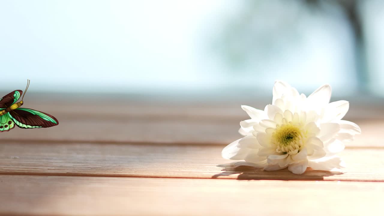 A green butterfly flutters elegantly around a white flower on a wooden surface, set against a soft, blurred background