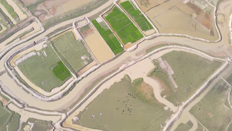vista aérea de pájaro sobre las tierras agrícolas inundadas en bangladesh
