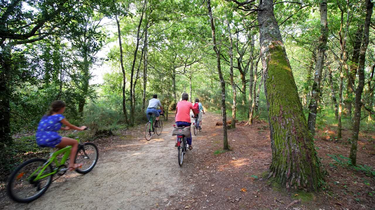 paseo en bicicleta por un bosque exuberante, naturaleza verde