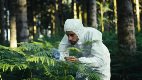 biologist collecting plant samples