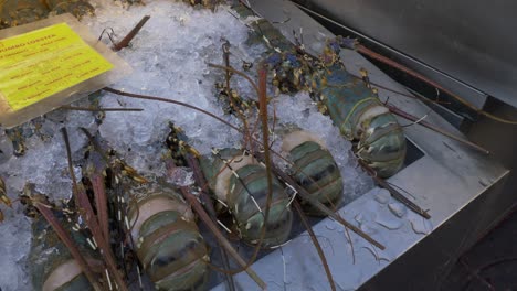 dead fresh lobster in ice at asian thailand fish market street for sale