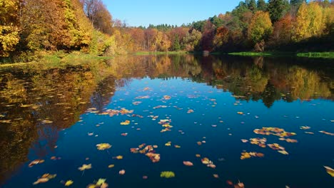 Buntes-Herbstwaldholz-Am-See