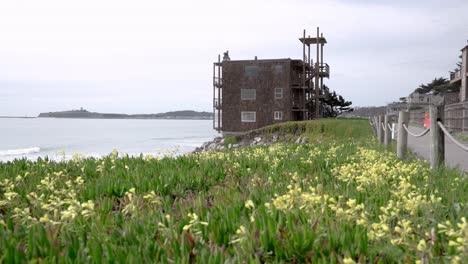 pillar point, brown apartment and garden by the beach