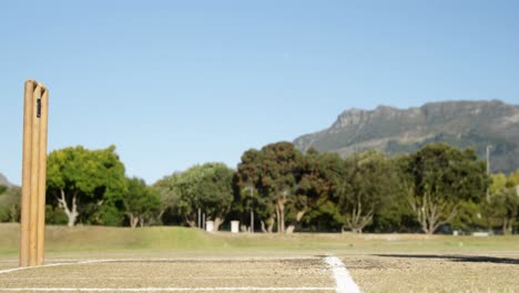 Bowler-Liefert-Ball-Während-Eines-Cricketspiels