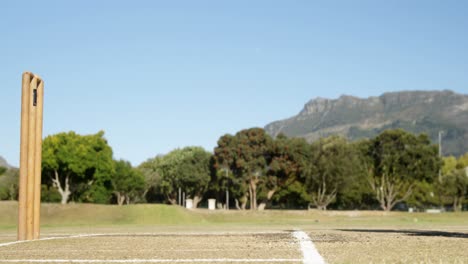 bowler, der während eines cricket-spiels den ball liefert