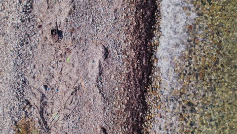 la vista de la costa revela basura y elementos naturales en la marea baja
