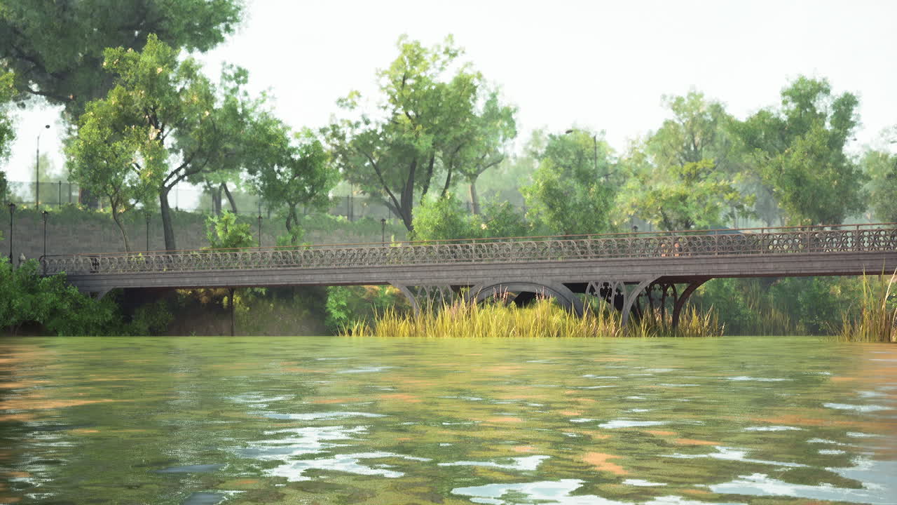 푸른 숲 속 의 강 을 가로지르는 다리