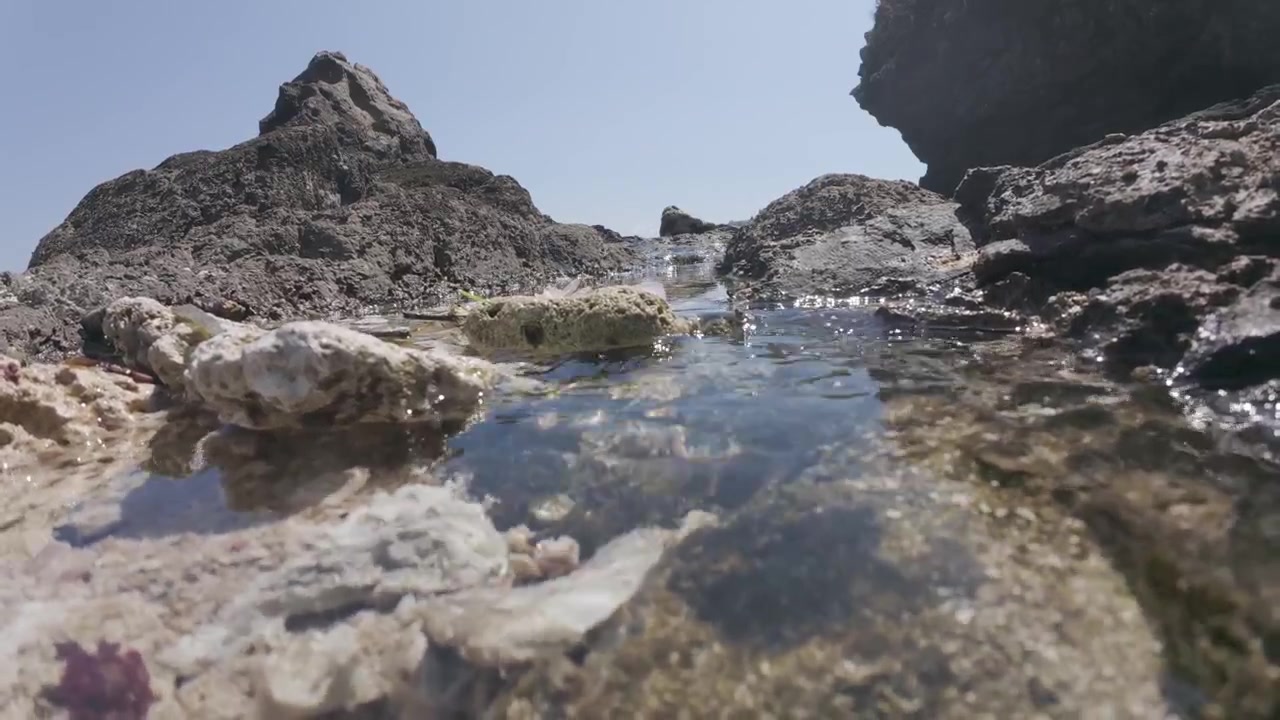 Acqua limpida che scorre attraverso una pozza di marea rocciosa sulla spiaggia.