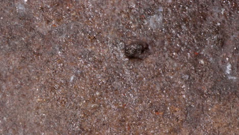 primer plano de una superficie rugosa