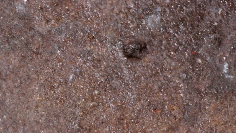 close-up of a rough surface