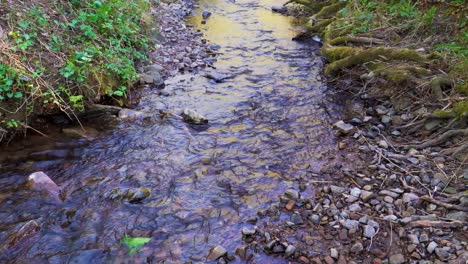 4K-water-flowing-down-in-a-small-creek-in-the-middle-of-the-great-woods-in-the-quantock-hills-somerset-englang