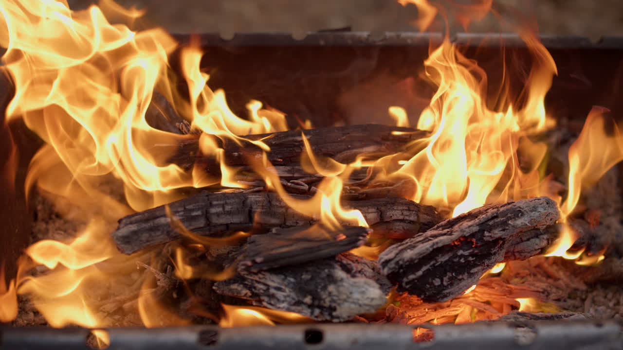 숲 속의 바베큐 장소에서 불타는 나무에 대한 수평 클로즈업.