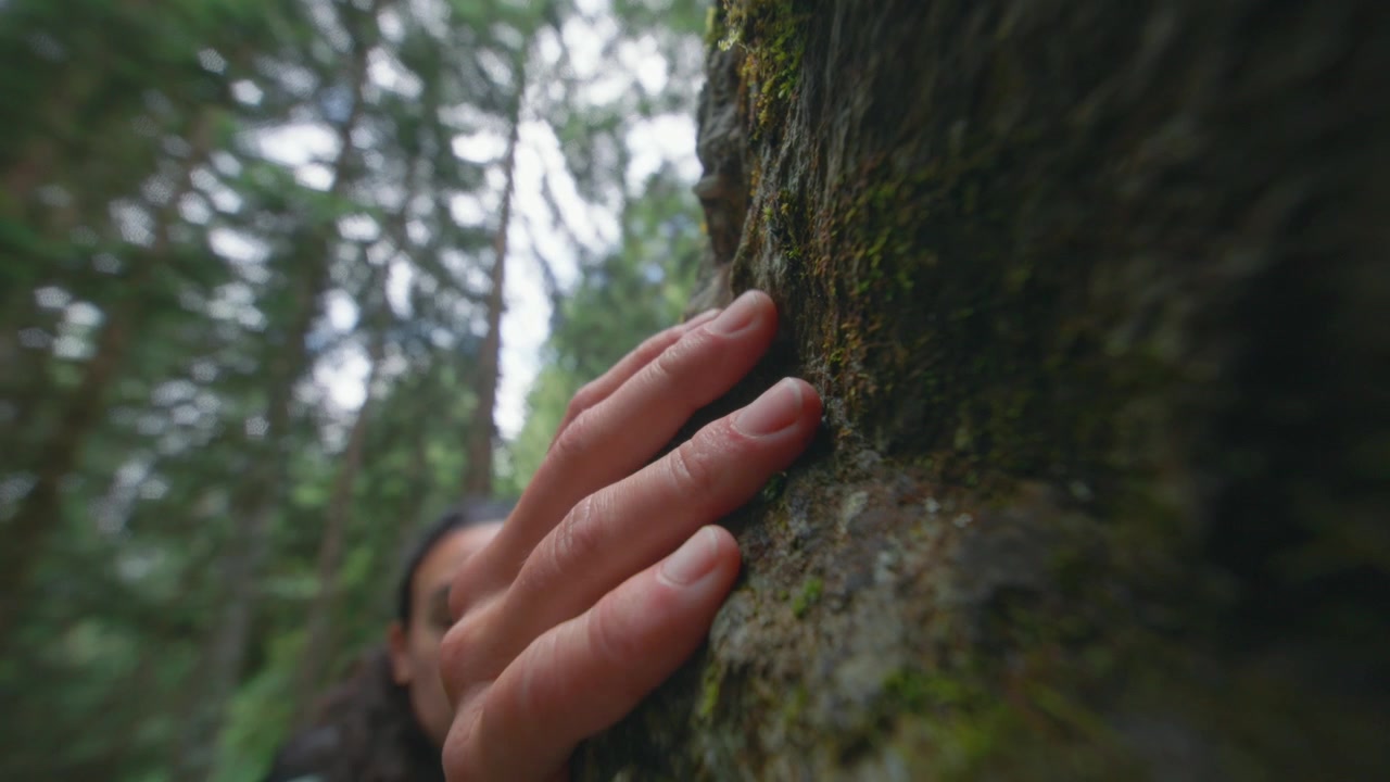 Close up of hand gripping rocks while scrambling through forest in the alps in summer.