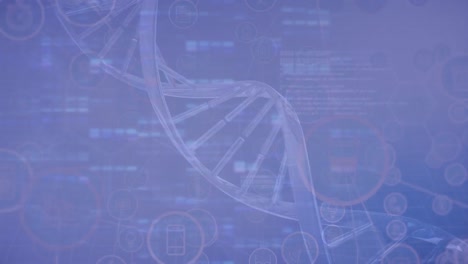 Animation-of-dna-strand-spinning-over-data-processing