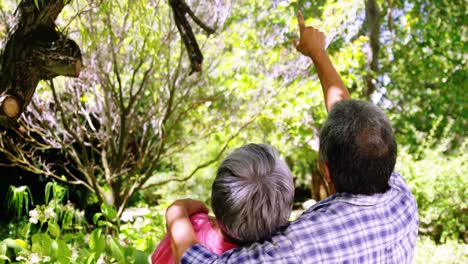 Senior-couple-interacting-with-each-other-in-park