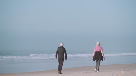 Elderly Couple Walking Together  on the Beach