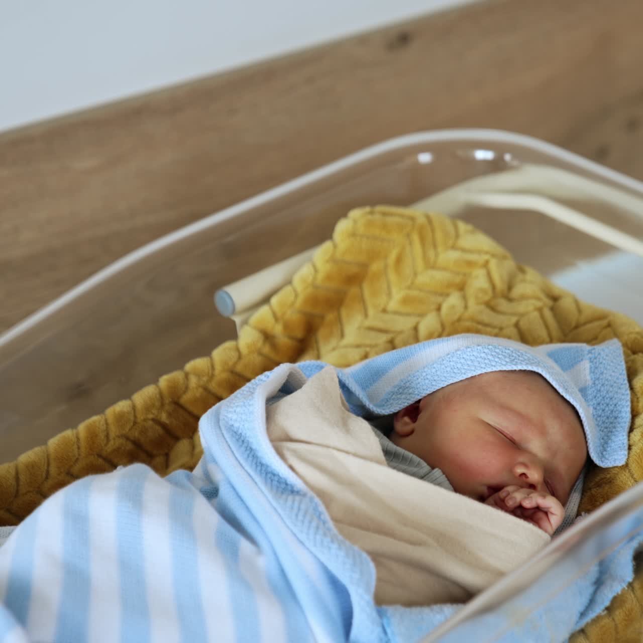Neonato che giace in una culla trasparente d'ospedale, coperto da una coperta. Il bambino dorme con il pugno vicino alla bocca. Vista dall'alto