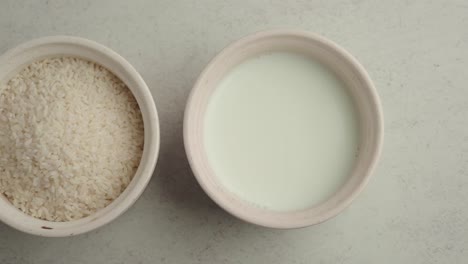 rice and milk ingredients