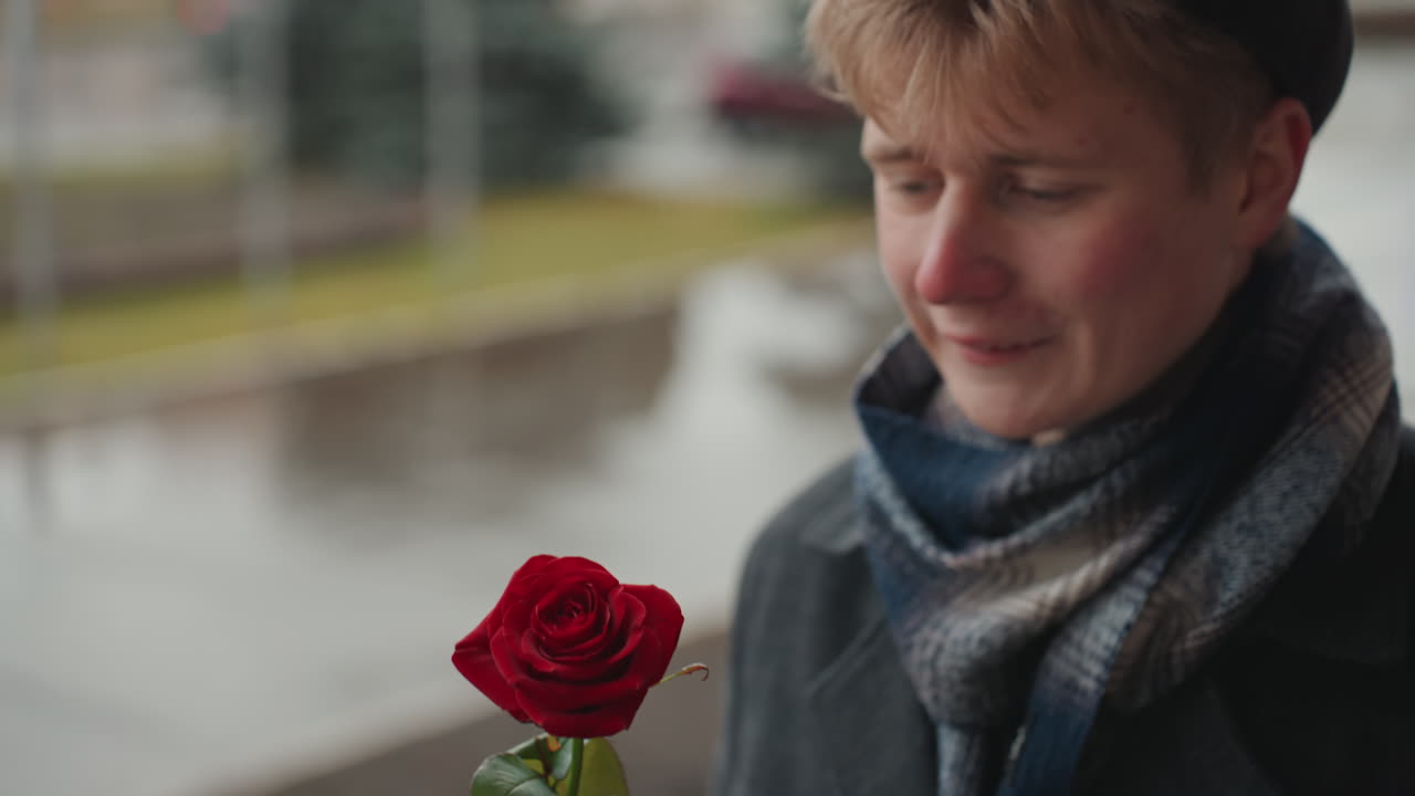 Individual gently examines blooming red rose. Caucasian artist carefully studies delicate red flower closeup. Creator wearing gloves focuses on detailed aspects of freshly picked red rose