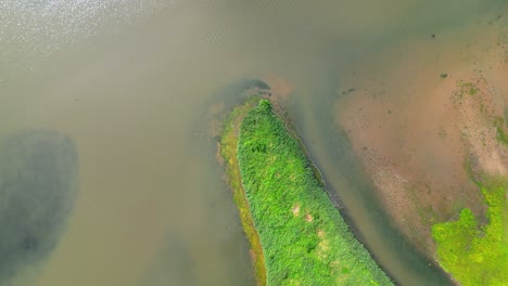 An-afternoon-in-the-BiesBosch