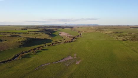 aerial view of green rural field at sunset with stream going through it