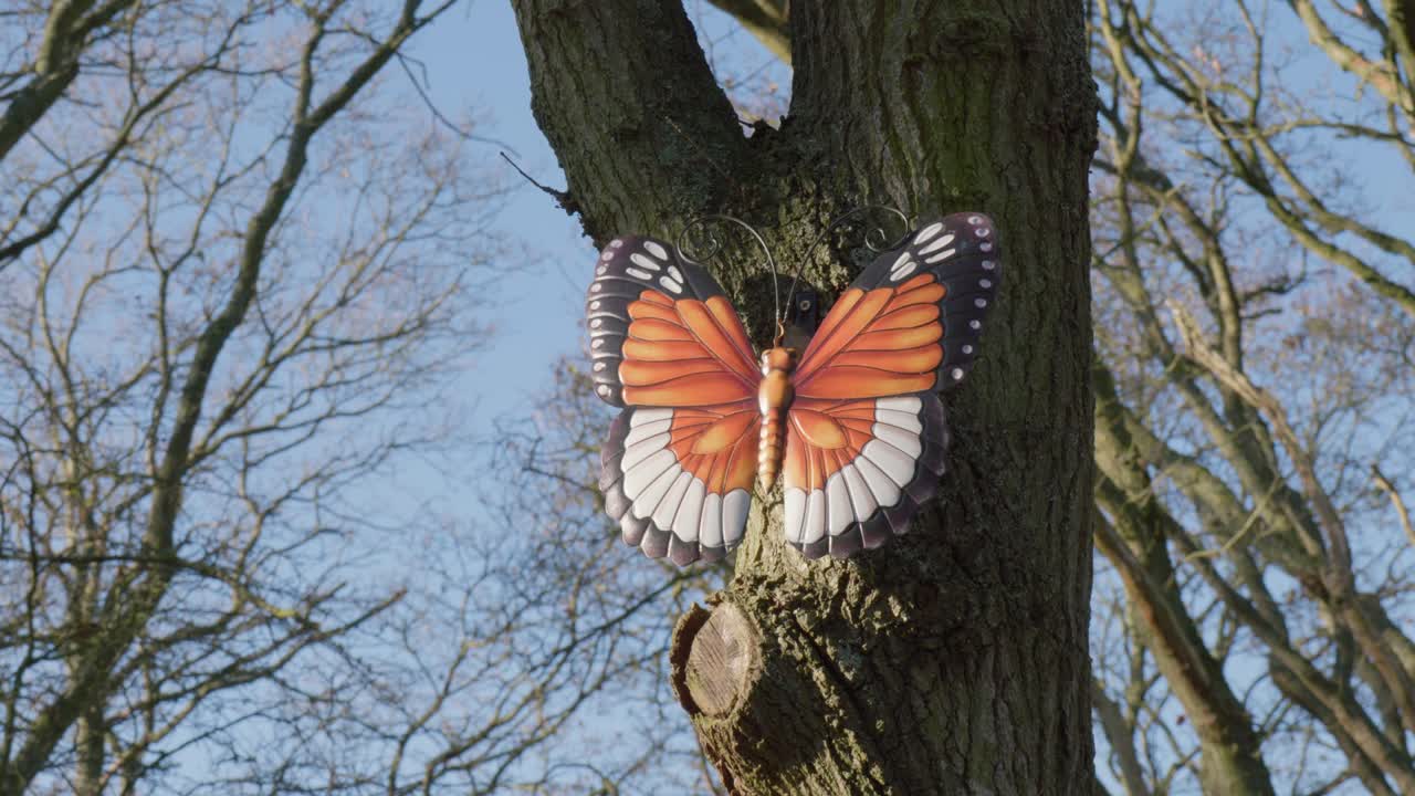 Una farfalla colorata appoggiata su un albero in un ambiente naturale e tranquillo