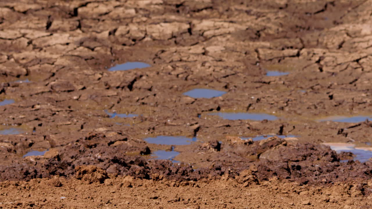Wide rack shot of shallow patches of water inside a watering hole