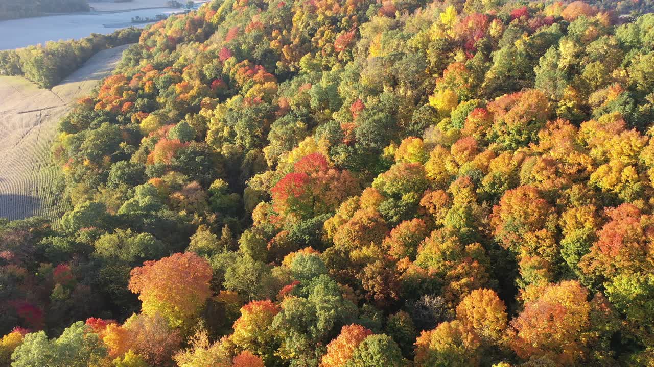 follaje de otoño vista aérea de bosques y tierras de cultivo