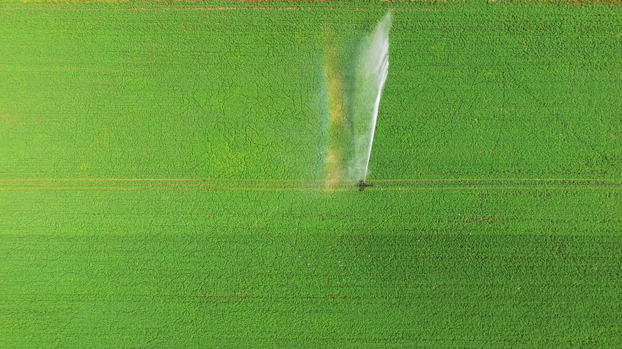 Prospettiva aerea dall'alto che mostra un sistema di irrigazione agricolo su larga scala che irrora acqua su un vasto campo coltivato verde e vibrante, promuovendo la crescita e garantendo un raccolto sano