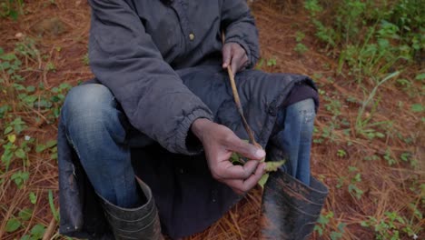 close up shot of an african mans hands as he cleans his arrow with a leaf while sitting on the forest floor in africa