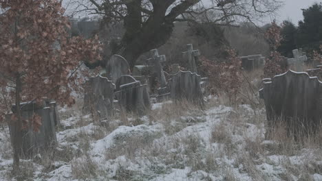 lonely graveyard dusted in snow, with a disorder of neglected and overgrown graves and gnarly trees