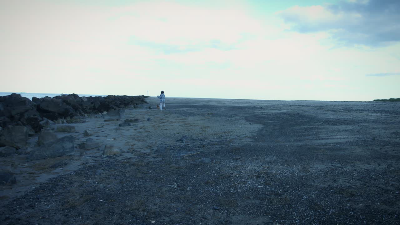 4k 야외 해변 아이와 개가 해변에서 달리기