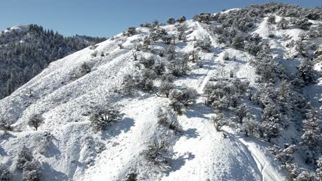 Mountain-valley-panning-aerial-with-pine-trees-and-fresh-snow