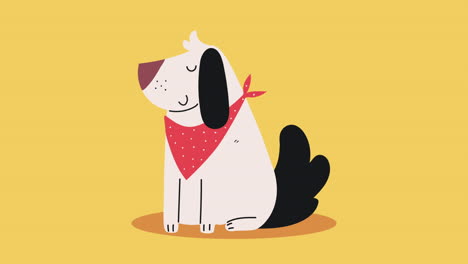 un perro lindo con una bufanda.