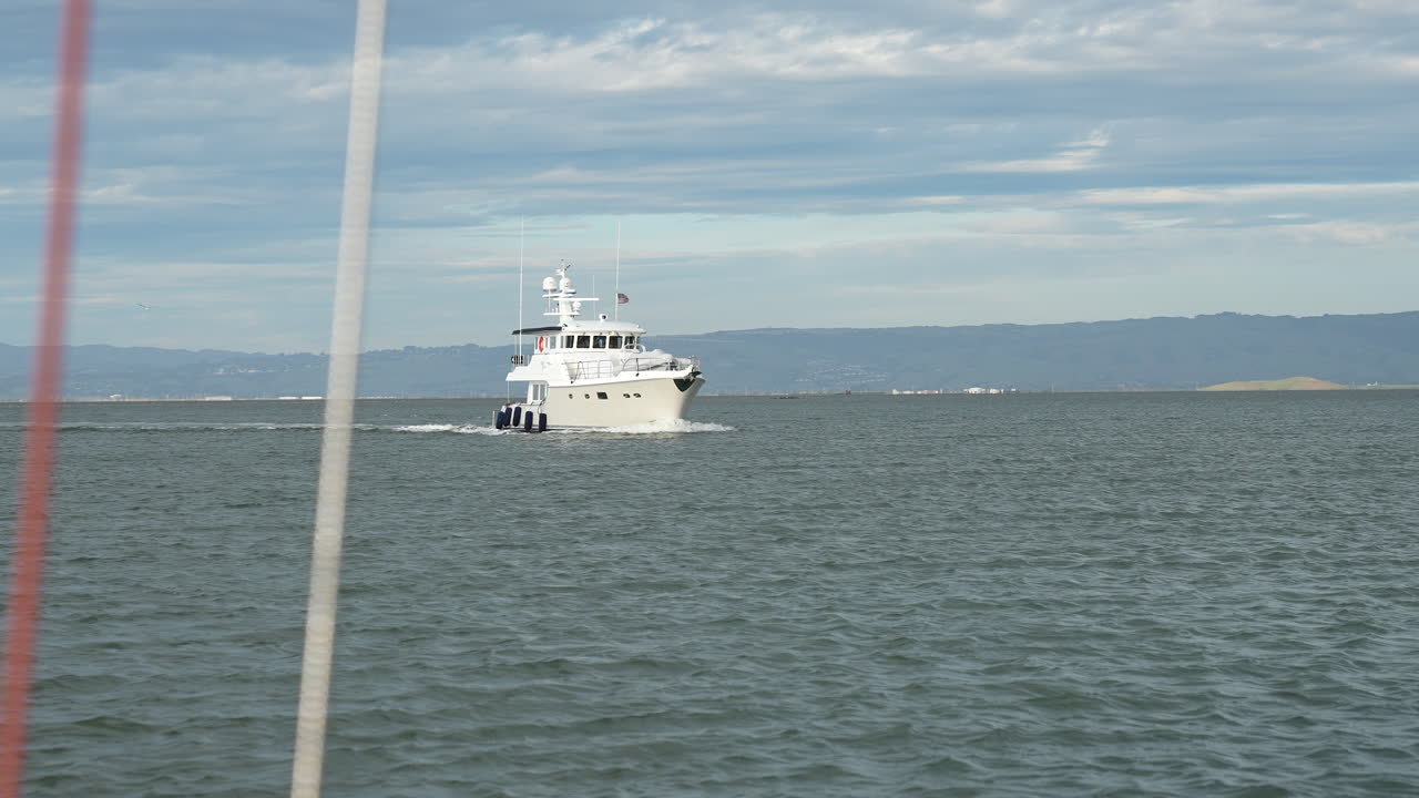 레드우드 시티 선착장 근처의 샌프란시스코 만에 있는 요트