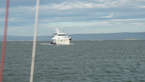 a yacht in the san francisco bay near the redwood city marina