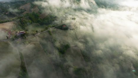 volando a través de nubes brumosas sobre viñedos agrícolas en san gimignano, provincia de siena, italia