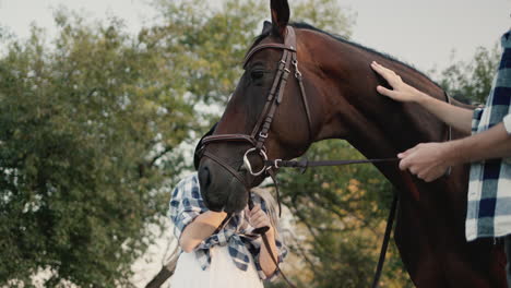 girl strokes a horse 2