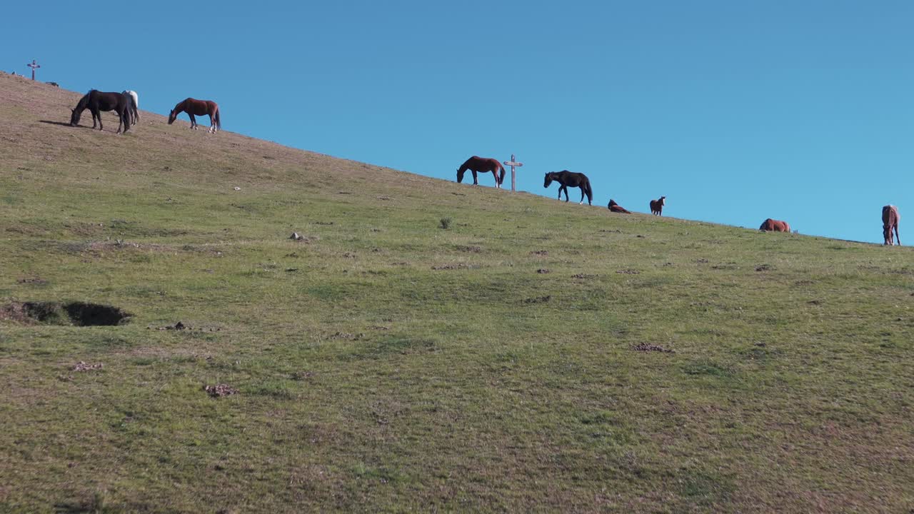 vista aérea de los pastos de montaña andinos con granjas de cría de caballos en tafí del valle