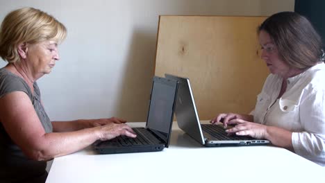 dos mujeres están escribiendo detrás de dos portátiles opuestas entre sí