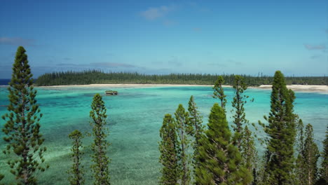 duw vanuit de lucht door zuilvormig dennenbos naar de kristalheldere baai, isle of pines