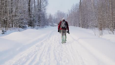 people hiking on a snowy path in a forest