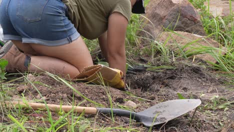 mujer plantando un árbol en el bosque con sus manos