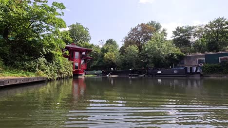 a tranquil river scene with greenery and graffiti