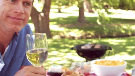 happy family toasting during a picnic