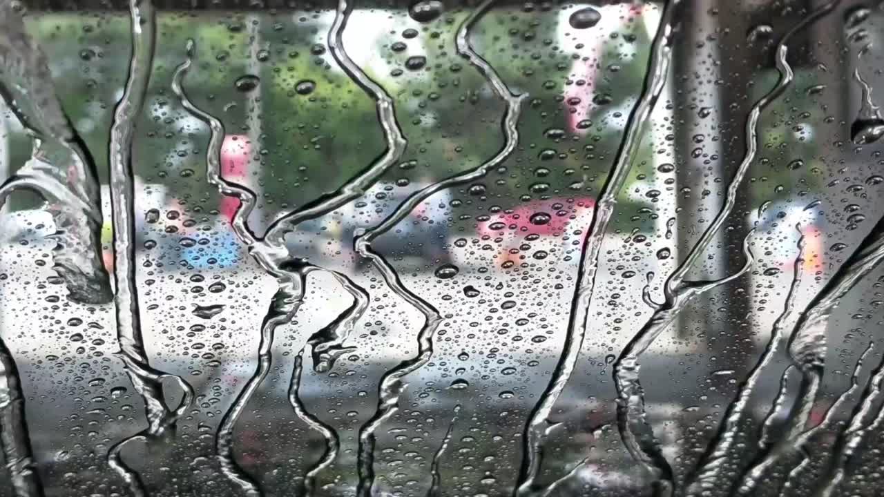 터널 세차, 다색 거품, 물, 거품, 린스 및 왁스를 통과하는 여러 단계