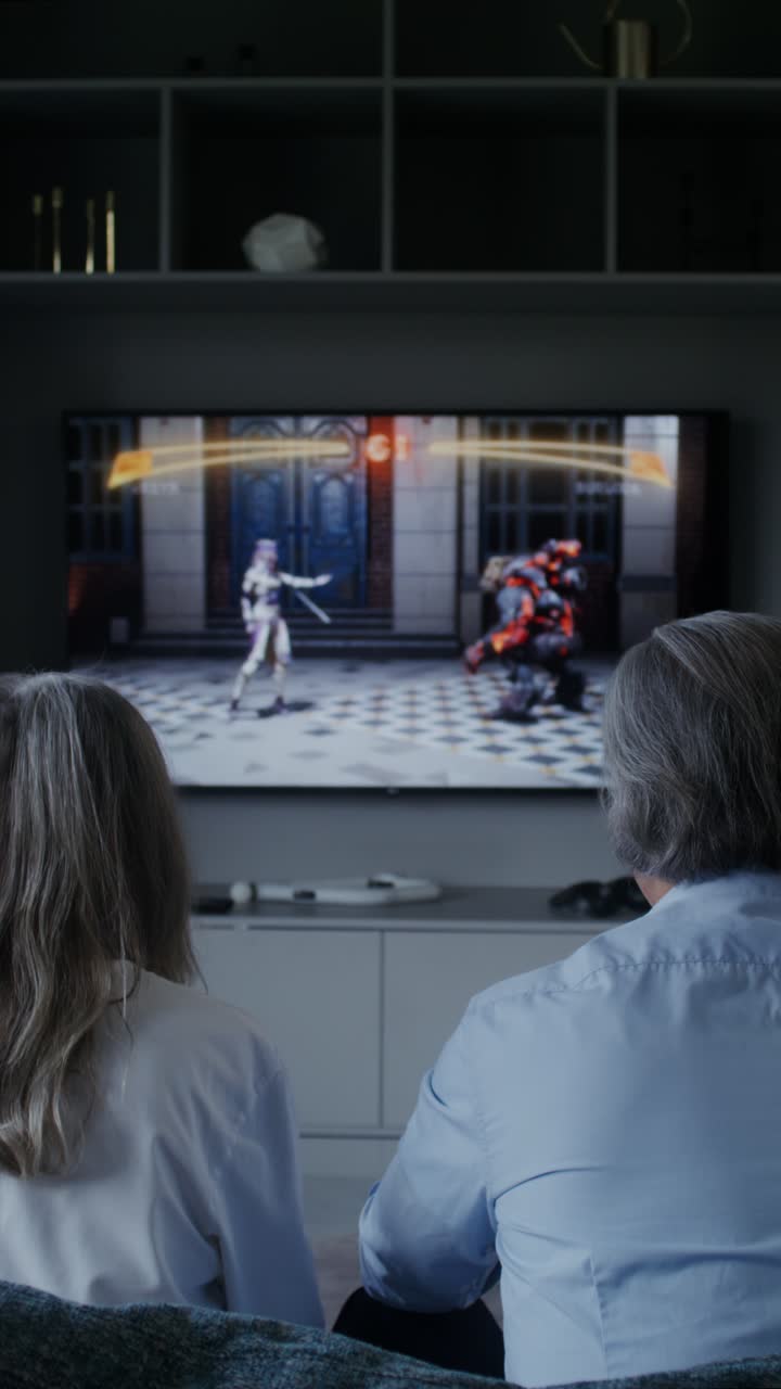 People Watching Video Game on Television